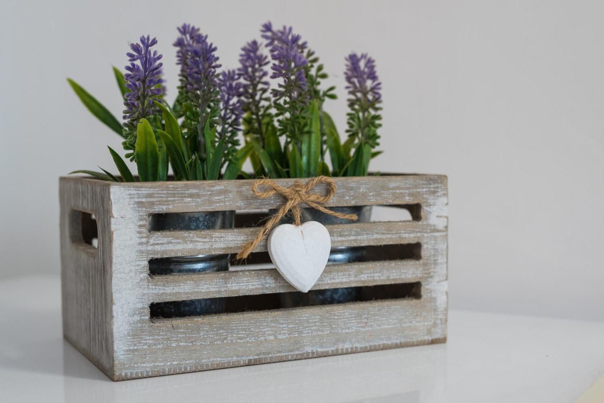 Travelershome Ciampino 170 Station Street Bagian luar foto